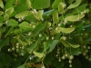 spl-2012_01 spl-2012_01