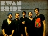 swanbride01 swanbride01