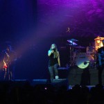 Live reports: Guano Apes
