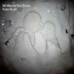 Recenzia: Kate Bush – 50 Words for Snow